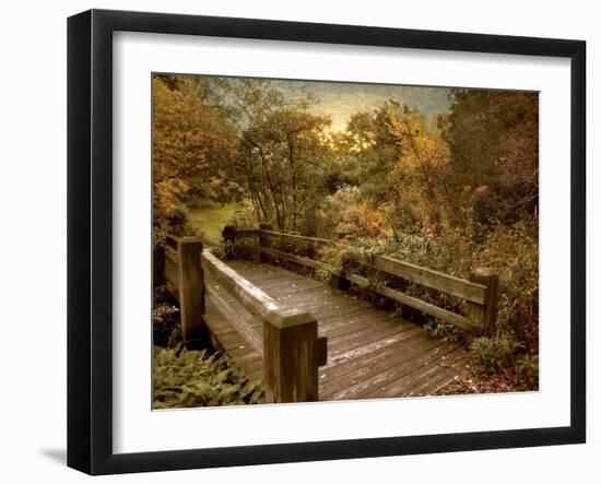 Splendor Bridge-Jessica Jenney-Framed Giclee Print