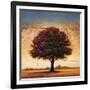 Splendor I-Gregory Williams-Framed Art Print