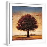 Splendor I-Gregory Williams-Framed Art Print