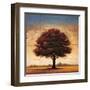 Splendor I-Gregory Williams-Framed Art Print