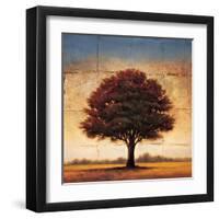 Splendor I-Gregory Williams-Framed Art Print