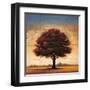 Splendor I-Gregory Williams-Framed Art Print