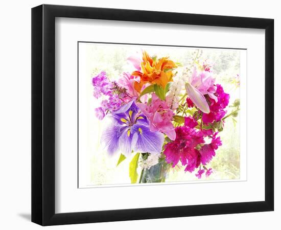 Splendor II-Judy Stalus-Framed Art Print