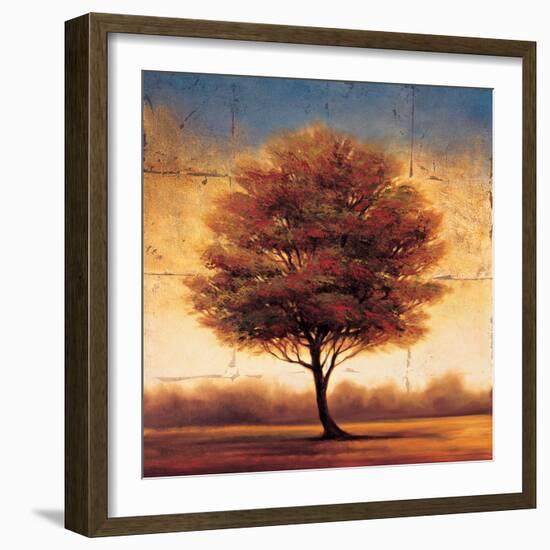 Splendor II-Gregory Williams-Framed Art Print