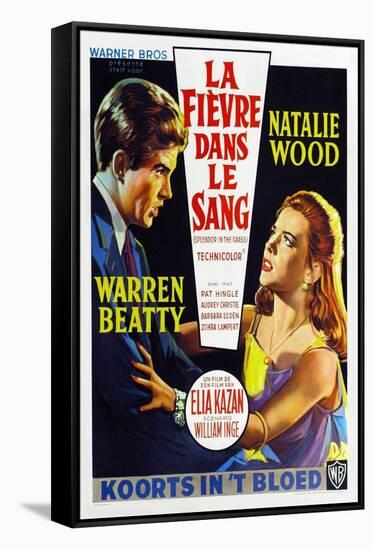 Splendor in the Grass, Belgian Movie Poster, 1961-null-Framed Stretched Canvas