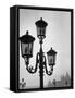 Splendor of a Street Light in the Piazza San Marco with the Santa Maria Della Salute Church-Dmitri Kessel-Framed Stretched Canvas