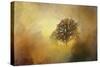 Splendor-Jai Johnson-Stretched Canvas