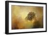 Splendor-Jai Johnson-Framed Giclee Print