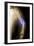 Splintered Arm Fracture, X-ray'-Du Cane Medical-Framed Photographic Print