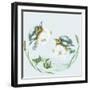 Splish Splash-Peggy Harris-Framed Giclee Print