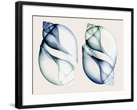 Split Breeze 1-Albert Koetsier-Framed Photo