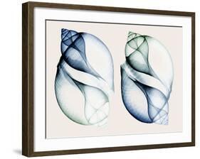 Split Breeze 1-Albert Koetsier-Framed Photo