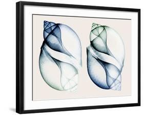 Split Breeze 1-Albert Koetsier-Framed Photo