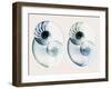 Split Breeze 2-Albert Koetsier-Framed Photo