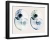 Split Breeze 2-Albert Koetsier-Framed Photo