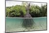 Split Image of a Large Mangrove and its Extensive Prop Root System-Reinhard Dirscherl-Mounted Photographic Print