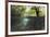 Split Image of Mangroves and their Extensive Underwater Prop Root System-Reinhard Dirscherl-Framed Photographic Print