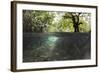 Split Image of Mangroves and their Extensive Underwater Prop Root System-Reinhard Dirscherl-Framed Photographic Print