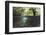 Split Image of Mangroves and their Extensive Underwater Prop Root System-Reinhard Dirscherl-Framed Photographic Print