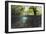 Split Image of Mangroves and their Extensive Underwater Prop Root System-Reinhard Dirscherl-Framed Photographic Print