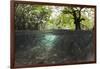 Split Image of Mangroves and their Extensive Underwater Prop Root System-Reinhard Dirscherl-Framed Photographic Print