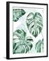 Split Leaf I-Grace Popp-Framed Art Print