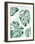 Split Leaf I-Grace Popp-Framed Art Print