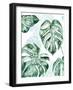 Split Leaf I-Grace Popp-Framed Art Print