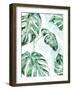 Split Leaf II-Grace Popp-Framed Art Print