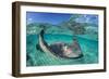 Split Level Image of a Southern Stingray (Dasyatis Americana) Swimming over a Sand Bar-Alex Mustard-Framed Photographic Print