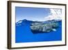 Split-level of a Sperm whale swimming close to the surface-Franco Banfi-Framed Photographic Print