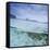 Split Level View at the Shoreline of Praia Da Atalaia Beach on Fernando De Noronha-Alex Saberi-Framed Stretched Canvas