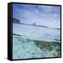 Split Level View at the Shoreline of Praia Da Atalaia Beach on Fernando De Noronha-Alex Saberi-Framed Stretched Canvas