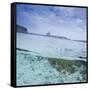 Split Level View at the Shoreline of Praia Da Atalaia Beach on Fernando De Noronha-Alex Saberi-Framed Stretched Canvas