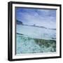 Split Level View at the Shoreline of Praia Da Atalaia Beach on Fernando De Noronha-Alex Saberi-Framed Photographic Print