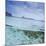 Split Level View at the Shoreline of Praia Da Atalaia Beach on Fernando De Noronha-Alex Saberi-Mounted Photographic Print