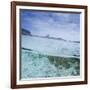 Split Level View at the Shoreline of Praia Da Atalaia Beach on Fernando De Noronha-Alex Saberi-Framed Photographic Print