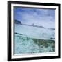 Split Level View at the Shoreline of Praia Da Atalaia Beach on Fernando De Noronha-Alex Saberi-Framed Photographic Print