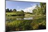 Split-Level View of River Leith with Water-Crowfoot (Ranunculus Fluitans) Growing Underwater, UK-Linda Pitkin-Mounted Photographic Print