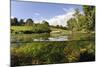 Split-Level View of River Leith with Water-Crowfoot (Ranunculus Fluitans) Growing Underwater, UK-Linda Pitkin-Mounted Photographic Print