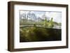 Split level view of the River Itchen, chalk stream at Winnall Moors, Hampshire, England-Michel Roggo-Framed Photographic Print