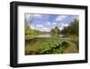 Split Level View of the River Itchen, with Blunt-Fruited Water-Starwort and Itchen Stoke Mill, UK-Linda Pitkin-Framed Photographic Print