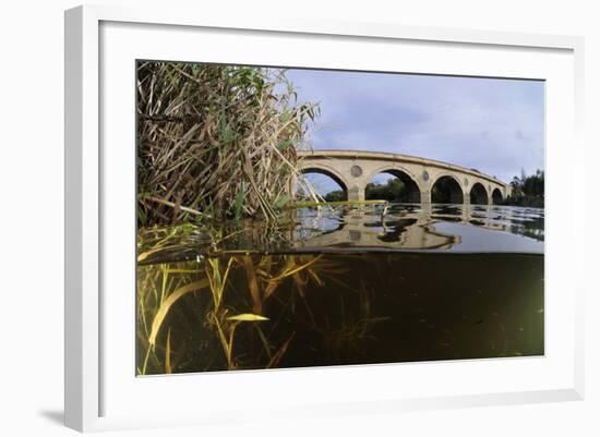 Split-Level View of the River Tweed and Coldstream Bridge, Berwickshire, Scotland, UK, October-Linda Pitkin-Framed Photographic Print