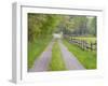 Split Rail Fence and Farm Road, Ipswich, Massachusetts, USA-Jerry & Marcy Monkman-Framed Photographic Print