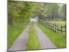 Split Rail Fence and Farm Road, Ipswich, Massachusetts, USA-Jerry & Marcy Monkman-Mounted Photographic Print