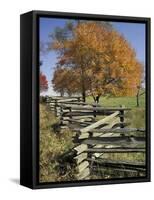 Split Rail Fence and Tree, Hensley Settlement, Cumberland Gap National Historic Park, Kentucky, USA-Adam Jones-Framed Stretched Canvas