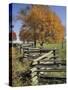 Split Rail Fence and Tree, Hensley Settlement, Cumberland Gap National Historic Park, Kentucky, USA-Adam Jones-Stretched Canvas