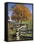 Split Rail Fence and Tree, Hensley Settlement, Cumberland Gap National Historic Park, Kentucky, USA-Adam Jones-Framed Stretched Canvas