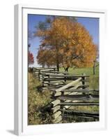 Split Rail Fence and Tree, Hensley Settlement, Cumberland Gap National Historic Park, Kentucky, USA-Adam Jones-Framed Premium Photographic Print