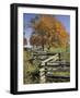 Split Rail Fence and Tree, Hensley Settlement, Cumberland Gap National Historic Park, Kentucky, USA-Adam Jones-Framed Photographic Print